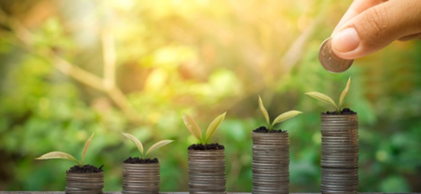 השיקום הכלכלי שלי